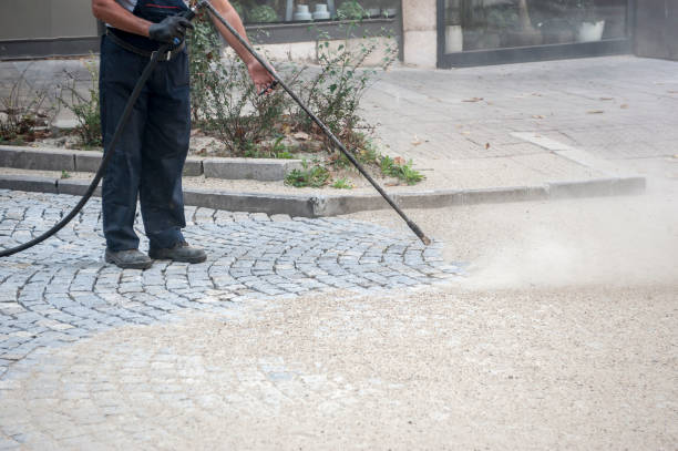 Best Animal Enclosure Cleaning  in North Brooksville, FL