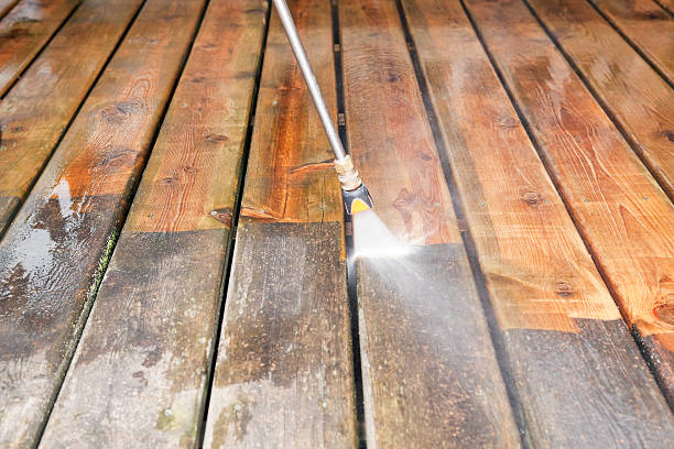 Best Soft Washing  in North Brooksville, FL